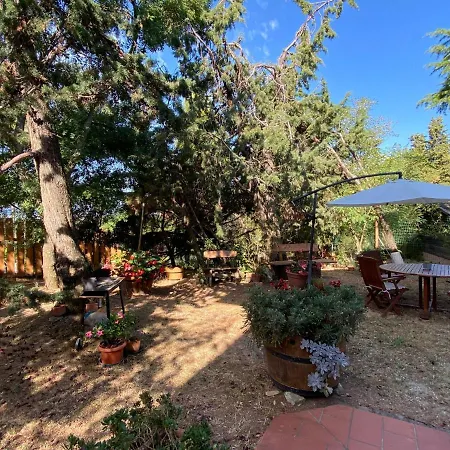 Sonia By Interhome Lägenhet *